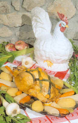 POULE.tif (311716 octets)